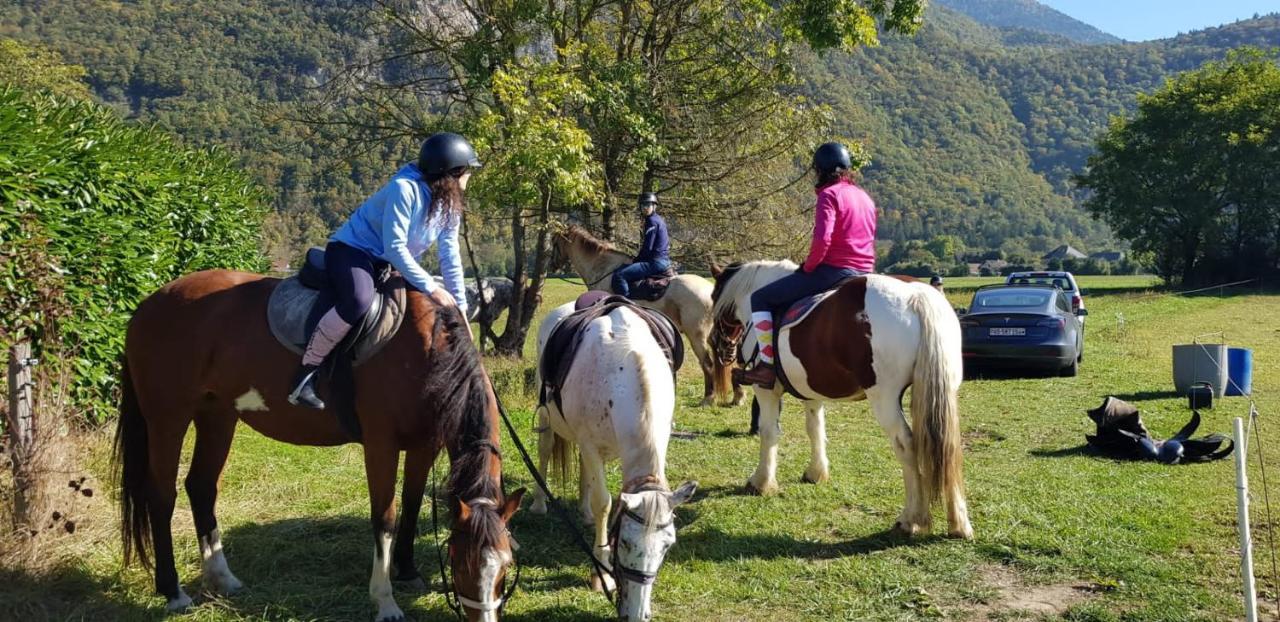 Manou Du Lac Annecy Doussard Zewnętrze zdjęcie